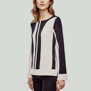 Navy and White Women's Sweater